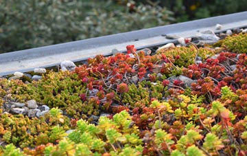 the cost of Bottom Of Hutton green roof installation